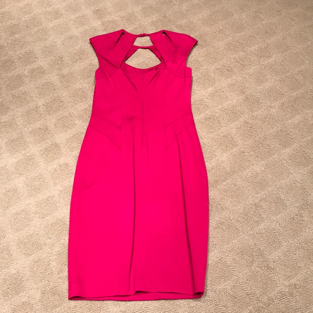 Cache Dress - Picture 2 of 3